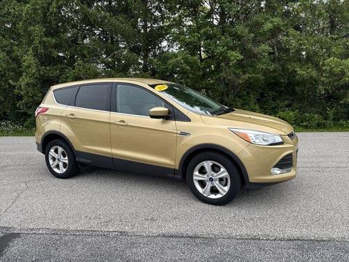 Karat Gold 2014 Ford Escape SE