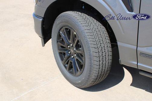 CARBONIZED GRAY METALLIC 2026 Ford F-150 Platinum