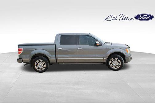 2011 Ford F-150 Platinum