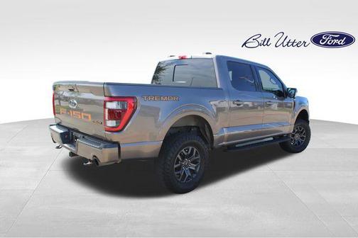 Stone Gray Metallic 2022 Ford F-150 Tremor