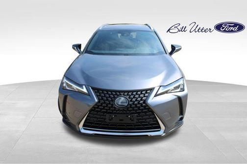 2019 Lexus UX 250h F Sport
