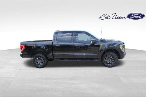 Agate Black Metallic 2023 Ford F-150 Tremor