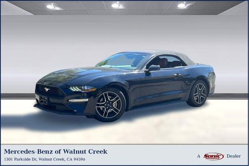 SHADOW BLACK 2019 Ford Mustang EcoBoost