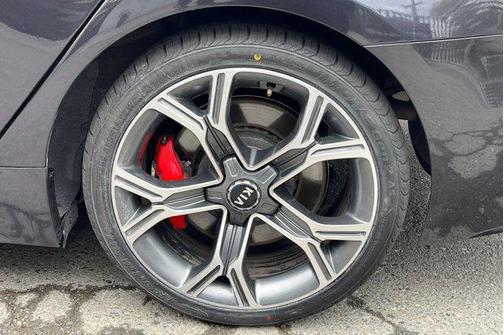 Panthera Metal 2020 Kia Stinger GT2