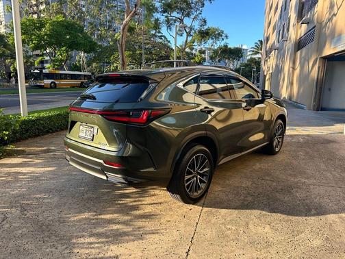Nori Green Pearl 2024 Lexus NX 350 Premium