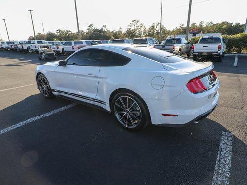 2019 Ford Mustang EcoBoost