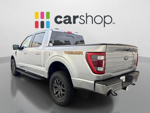 Iconic Silver Metallic 2023 Ford F-150 Tremor