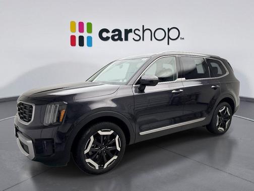 Panthera Metal 2025 Kia Telluride S