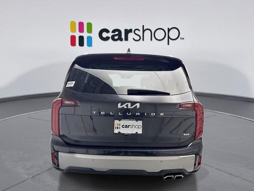 Panthera Metal 2025 Kia Telluride S