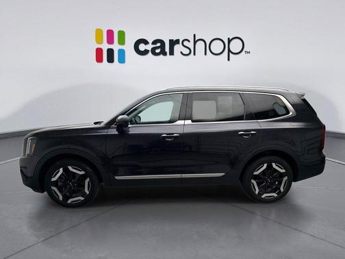 Panthera Metal 2025 Kia Telluride S