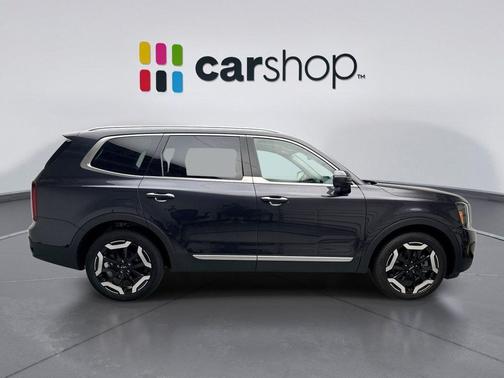 Panthera Metal 2025 Kia Telluride S
