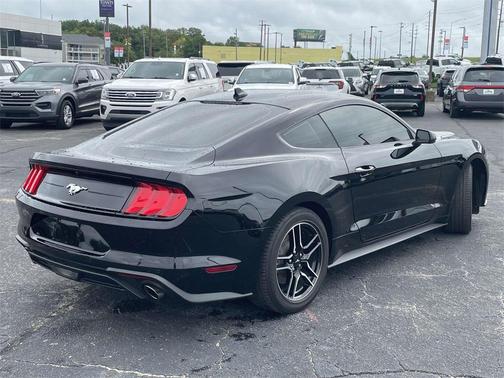 2023 Ford Mustang EcoBoost