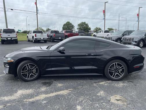 2023 Ford Mustang EcoBoost