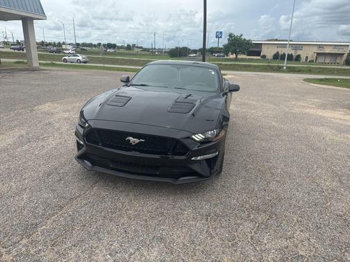 Shadow Black 2019 Ford Mustang GT
