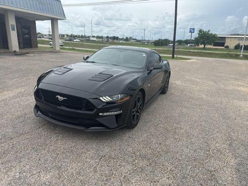 Shadow Black 2019 Ford Mustang GT