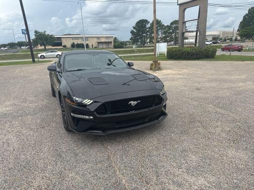 Shadow Black 2019 Ford Mustang GT