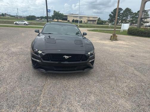 Shadow Black 2019 Ford Mustang GT