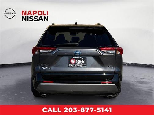 2019 Toyota RAV4 Hybrid SE