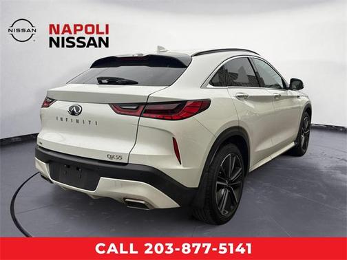 2023 INFINITI QX55 LUXE