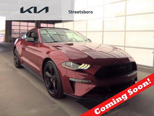 Rapid Red Metallic Tinted Clearcoat 2021 Ford Mustang EcoBoost