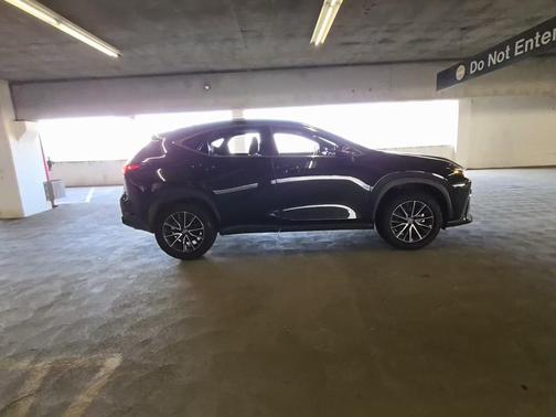 2024 Lexus NX 250 Base