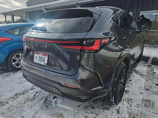 2024 Lexus NX 250 Base