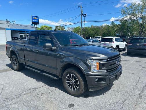 Magnetic 2019 Ford F-150 XLT