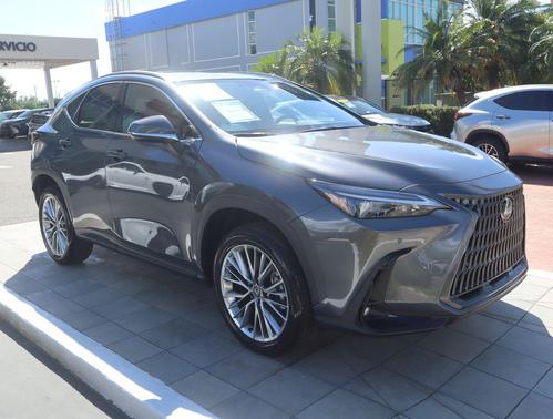Cloudburst Gray 2026 Lexus NX 350 Premium