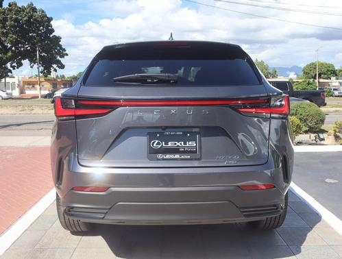 Cloudburst Gray 2026 Lexus NX 350 Premium