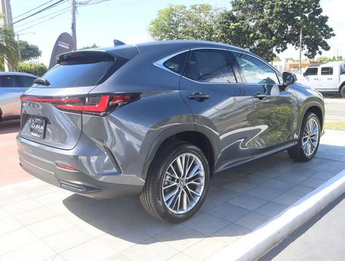 Cloudburst Gray 2026 Lexus NX 350 Premium