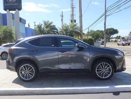 Cloudburst Gray 2026 Lexus NX 350 Premium