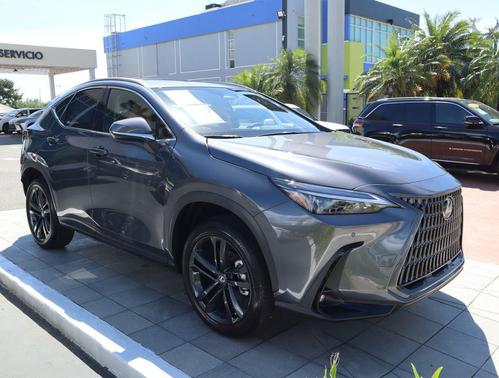 Cloudburst Gray 2026 Lexus NX 350h Premium
