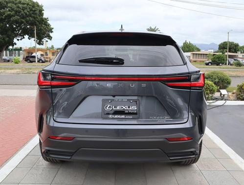 Cloudburst Gray 2026 Lexus NX 450h+ Premium