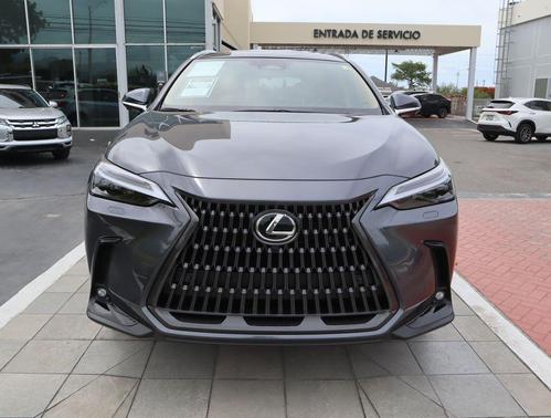 Cloudburst Gray 2026 Lexus NX 450h+ Premium