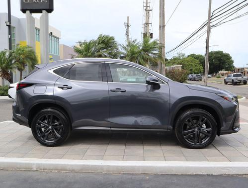 Cloudburst Gray 2026 Lexus NX 450h+ Premium