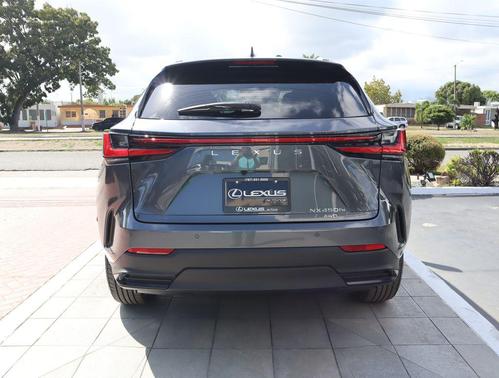 Cloudburst Gray 2026 Lexus NX 450h+ Premium
