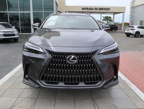 Cloudburst Gray 2026 Lexus NX 450h+ Luxury