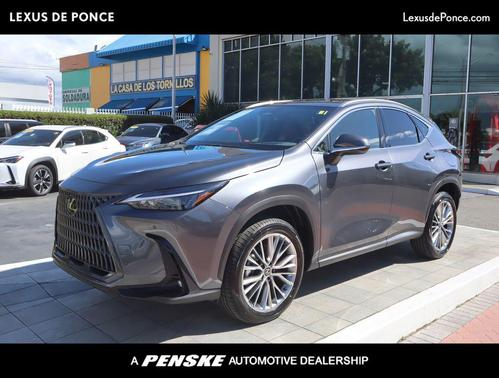 Cloudburst Gray 2026 Lexus NX 350 Premium