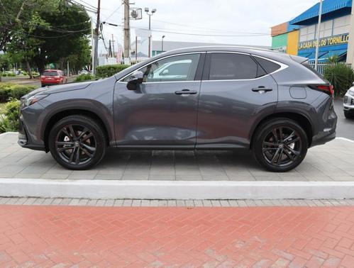 Cloudburst Gray 2026 Lexus NX 450h+ Luxury