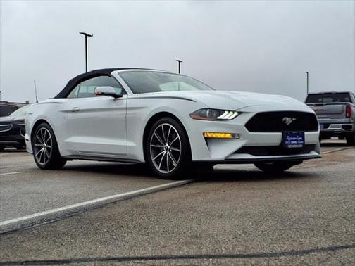 2019 Ford Mustang EcoBoost