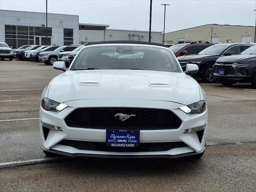 2019 Ford Mustang EcoBoost