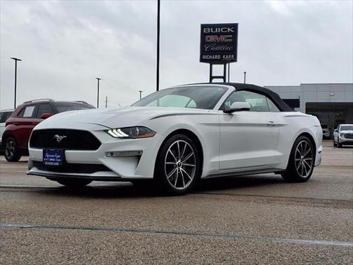 2019 Ford Mustang EcoBoost