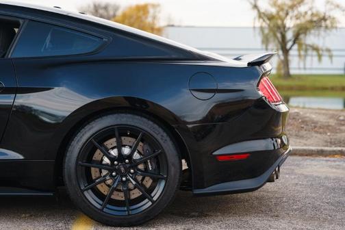 2017 Ford Shelby GT350 Base