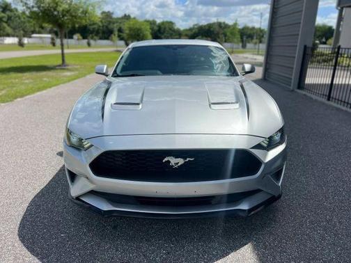 2019 Ford Mustang EcoBoost