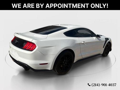 Oxford White 2019 Ford Mustang EcoBoost Premium