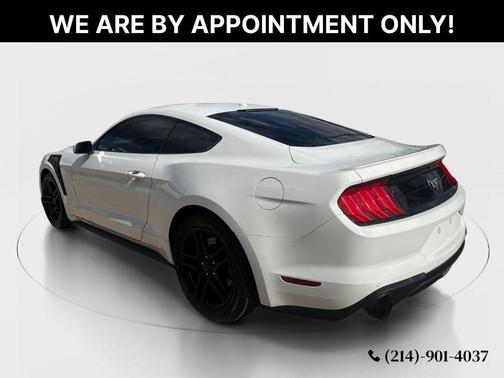 Oxford White 2019 Ford Mustang EcoBoost Premium