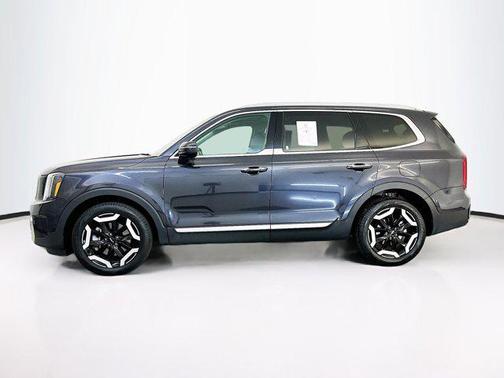 Panthera Metal 2025 Kia Telluride S