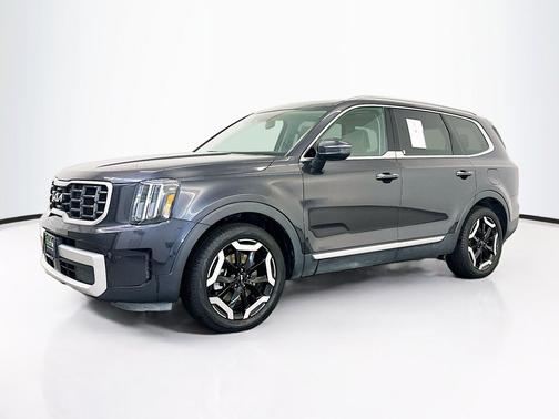Panthera Metal 2025 Kia Telluride S