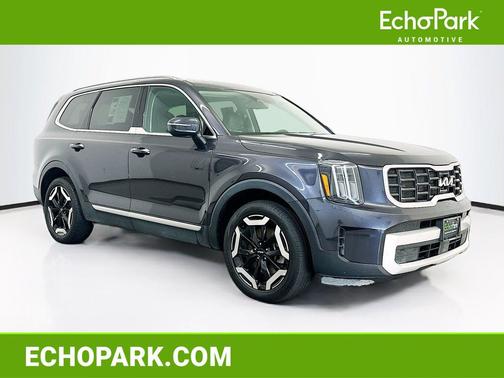 Panthera Metal 2025 Kia Telluride S