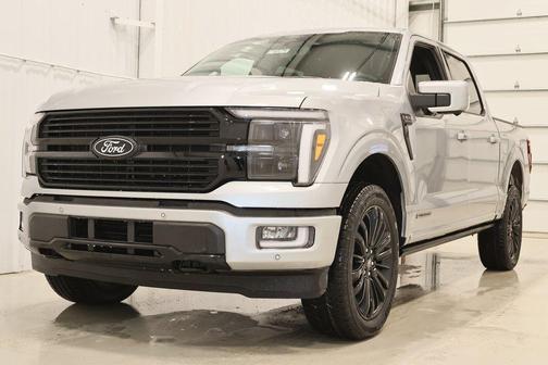 Iconic Silver Metallic 2025 Ford F-150 Platinum